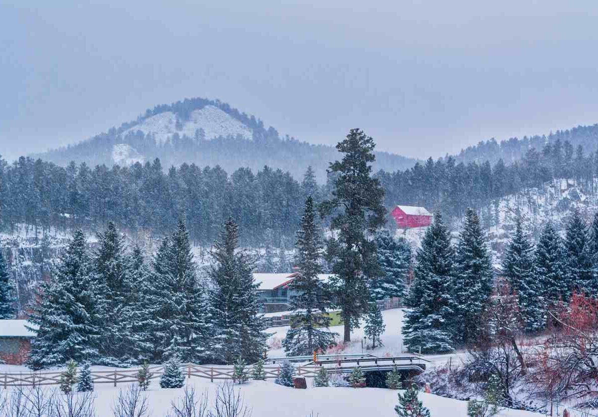 A beautiful South Dakota landscape with snow-capped trees and a red barn in the distance.