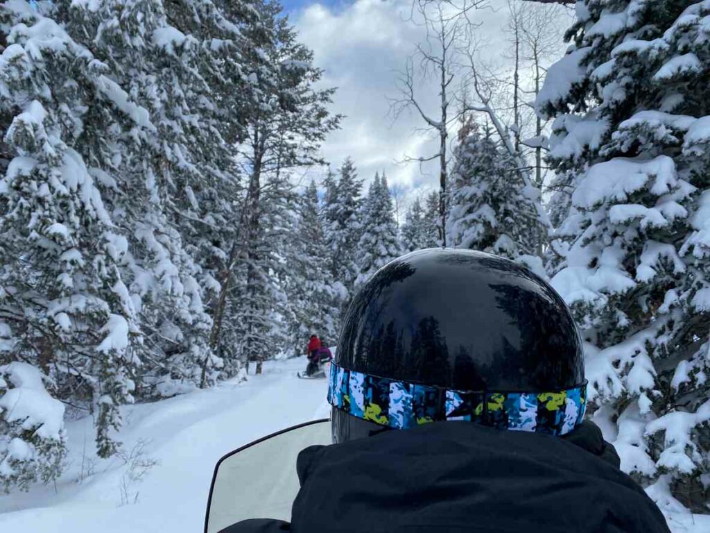 A snowmobiler traveling through the beautiful South Dakota trees.