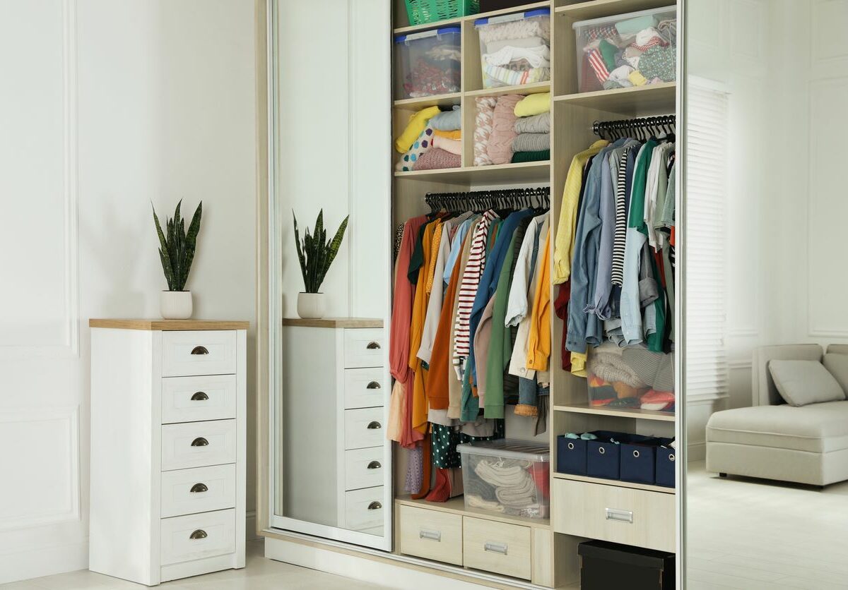 View of an organized closet with hanging clothes and tubs of items.